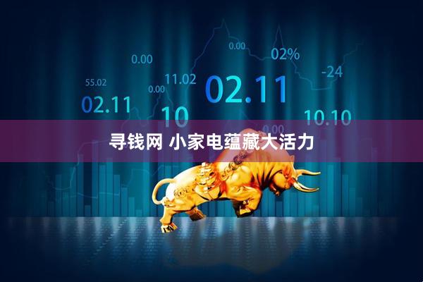 寻钱网 小家电蕴藏大活力
